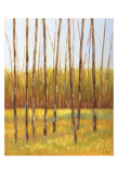 Tall Trees I (left)
