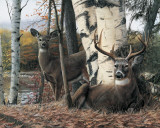 Autumn’s Majesty