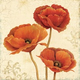 Poppy Boquet II