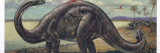 Apatosaurus in Natural Environment, Illustration