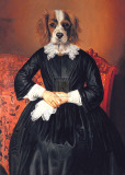 Ancestral Canines II