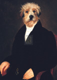 Ancestral Canines I