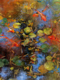 Buy Beni Ori Koi at AllPosters.com