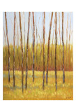 Tall Trees II (right)