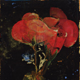 Buy Botany Fleur IV at AllPosters.com