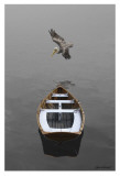Buy Time Stopped II at AllPosters.com