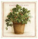 Fraise des Bois