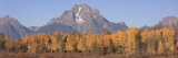 Mount Moran and Colorful Aspen in Autumn
