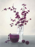 Royal Blossom I