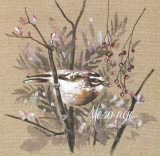 Mésange