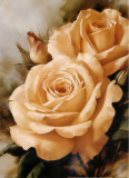 Buy Orange Roses at AllPosters.com