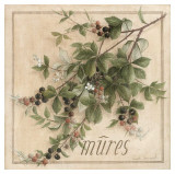 Buy M&ucirc;res at AllPosters.com