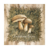 Buy Le D&eacute;licieux C&egrave;pe at AllPosters.com