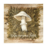 Buy La Savoureuse Pholiote at AllPosters.com
