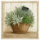Herbes Aromatiques