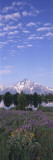 Moonset Begins over Mount Moran