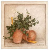 Lierre et Pots I