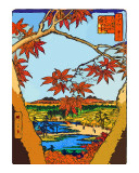 Red Leaves at Mama