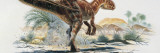 Carcharodontosaurus Dinosaur in the Forest