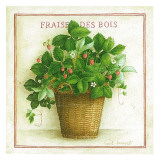 Fraise des Bois