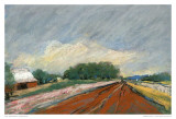 Buy Pastel Field II at AllPosters.com