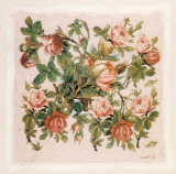 Buisson de Roses II