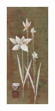 Buy Harmony I at AllPosters.com