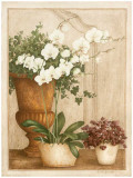 Grande Orchidée II