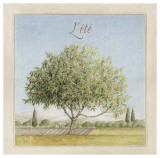 Arbre en Été