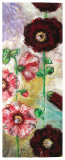 Roses Trémières I