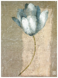 Tulipe Bleue I