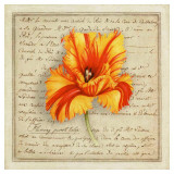 Buy Flaming Parrot Tulip at AllPosters.com