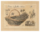 Panier À Feuilles d'Olivier