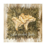 Buy La Succulente Girole at AllPosters.com