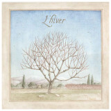 Arbre en Hiver