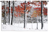 Buy Snowfall at AllPosters.com