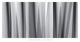 Buy Yucca Leaves at AllPosters.com