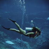 Woman Scuba Diving in Ocean