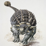 Close-Up of an Ankylosaurus Dinosaur (Ankylosaurus Magniventris)