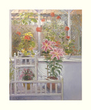 Through the Conservatory Window