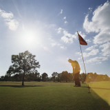 Golfer on the Green Putting Golf Ball into Hole