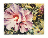 Buy Mallow and Ladybirds at AllPosters.com
