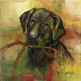 Buy Black Lab at AllPosters.com