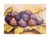 Buy Still Life of Figs at AllPosters.com