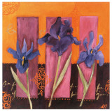 Buy 3 Iris at AllPosters.com