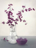Royal Blossom II