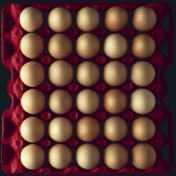 High Angle View of Eggs in a Carton