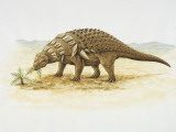 Side Profile of an Edmontonia Dinosaur Eating a Plant