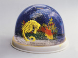 Close-Up of Figurines of a Sea Horse and a Fish in a Snow Globe