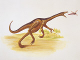 Struthiomimus Dinosaur Hunting a Dragonfly (Struthiomimus Altus)